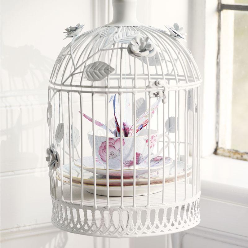 Harlequin Collection Cuckoo Wedgwood