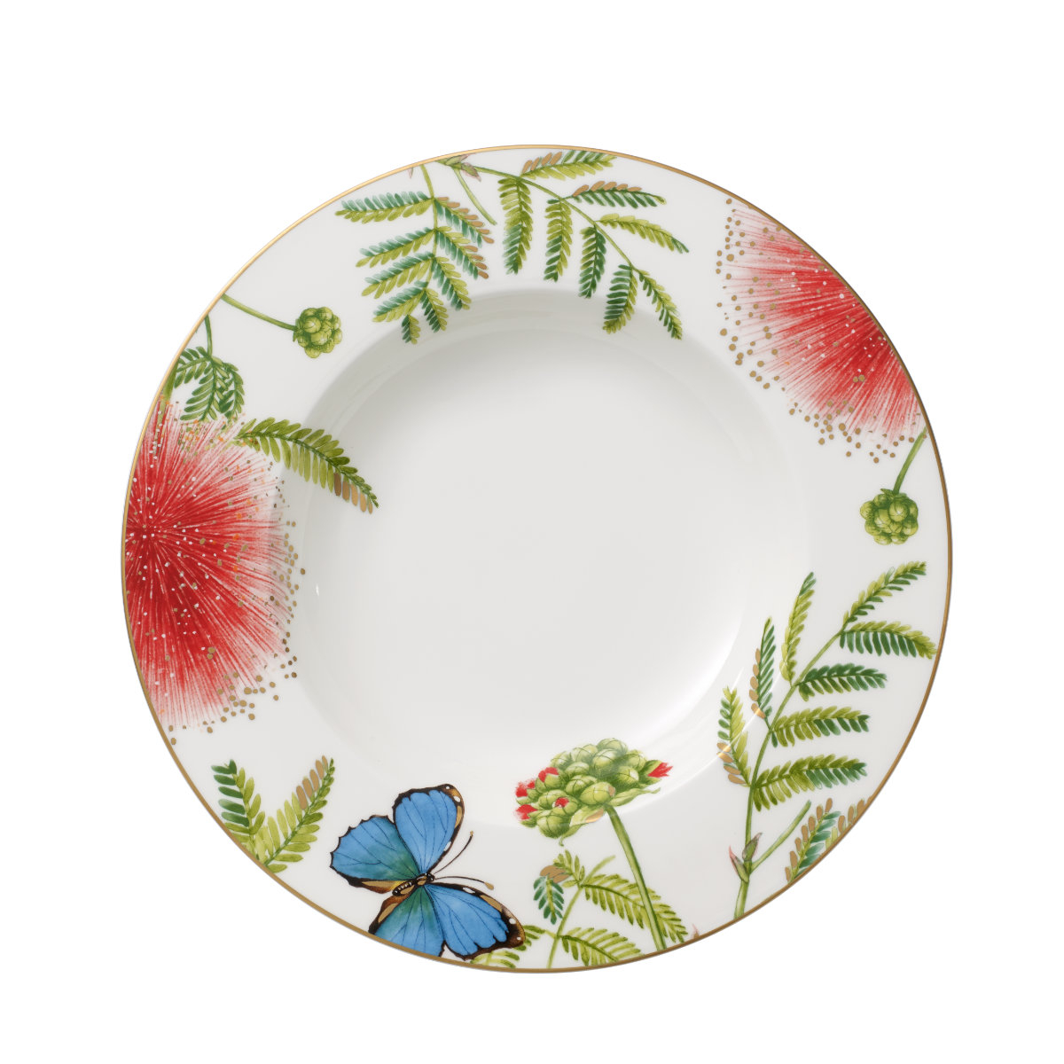 Villeroy & Boch Amazonia Anmut Suppenteller 25 cm