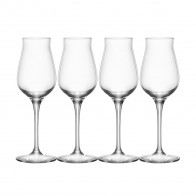 Spiegelau Authentis Digestif Glas Set 4-tlg. 0,17 L