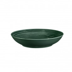 Seltmann Weiden Terra Moosgrün Suppenteller rund 21 cm