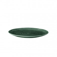 Seltmann Weiden Terra Moosgrün Brotteller 17,5 cm