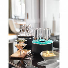 Robbe & Berking Dante 90 g versilbert Champagner Box Set 4-tlg.
