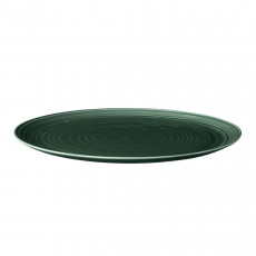 Seltmann Weiden Terra Moosgrün Speiseteller / Platzteller 31 cm