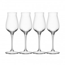 Spiegelau Authentis Digestif Glas Set 4-tlg. 0,17 L