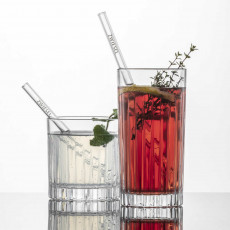 Schott Zwiesel Glastrinkhalme Trinkhalm Glas Set 4-tlg. mit Reinigungsbürste 15 cm 