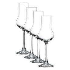 Nachtmann Vivendi Premium - Lead Crystal Obstbrand Glas Set 4-tlg. 0,10 L