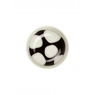 ASA SELECTION Variété du soleil Scodella 12 cm