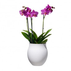 Villeroy & Boch Manufacture Collier Vaso perle grande 16,5x16,5x17,5 cm