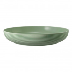 Seltmann Weiden Beat Salbeigrün 식사 그릇 28 cm
