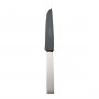 Robbe & Berking Riva - 150 g versilbert Steakmesser Frozen Black 223 mm