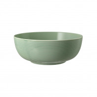 Seltmann Weiden Beat Salbeigrün food bowl kom 20 cm