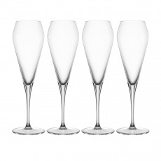 Spiegelau Willsberger Anniversary 30 Jahre Jubiläums-Set Champagneglas set van 4 stuks