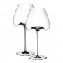 Zieher Vision Wijnglas Balanced Set 2-delig h: 25 cm / 850 ml