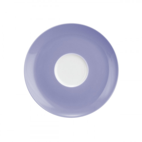 Seltmann Weiden Liberty Pure Colors Grape Purple Stor kombinasjonsfat 16,5 cm