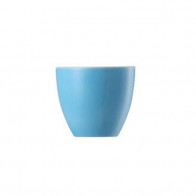 Thomas Sunny Day Waterblue Eggeglass