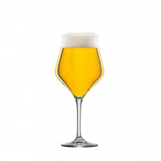 Eisch Craftbeer Experts Ølglass 2-delt