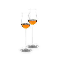 Riedel Veritas Conjunto de 2 copos de espíritos
