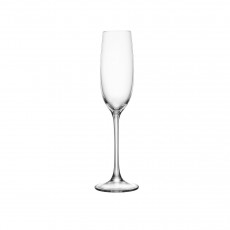 Spiegelau Salute Conjunto de copos de champanhe 4 peças 0,21 L