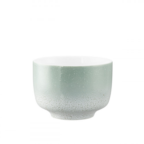Seltmann Weiden Sento Home Aura Mint Cană de cafea cu lapte 0,35 L