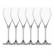 Spiegelau Spezialgläser Set pahare șampanie 6 piese
