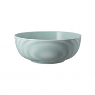 Seltmann Weiden Beat Arktisblau Matbollsskål 20 cm