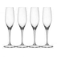 Spiegelau Authentis Champagneglas / Champagneglas 190 ml set med 4 delar