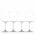 Schott Zwiesel MioVino Burgundy / allroundglas 4-del