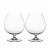 Riedel Vinum Cognac / Brandy glas 2-delat set 0,84 L