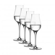 Spiegelau Authentis 4 parça 170 ml'lik digestif bardak seti