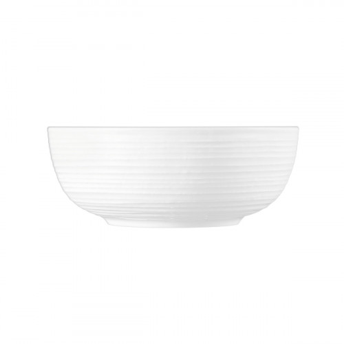 Seltmann Weiden Terra Weiß Food bowl 20 cm