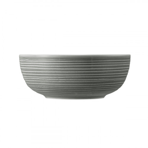 Seltmann Weiden Terra Perlgrau Food bowl 20 cm