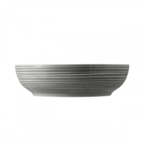 Seltmann Weiden Terra Perlgrau Food bowl 25 cm