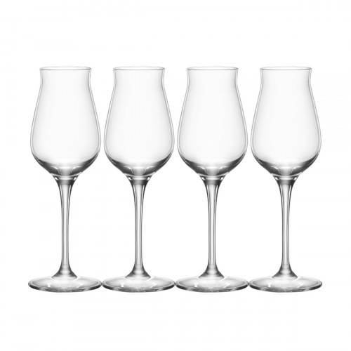 Spiegelau Authentis Set of 4 170 ml digestif glasses