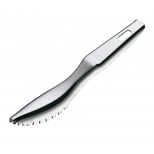 Küchenprofi Küchenzubehör Fish scaler 19 cm