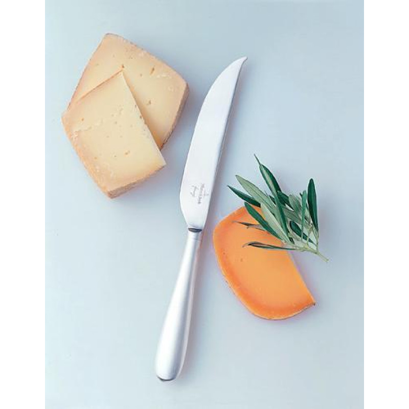 Villeroy & Boch Kensington Fromage 18/10 Edelstahl Hard cheese knife