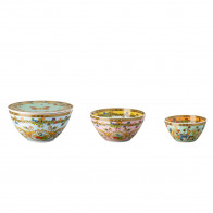 Rosenthal meets Versace Le Jardin de Versace Bowl set 4 pieces