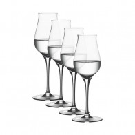 Spiegelau Authentis Set of 4 170 ml digestif glasses