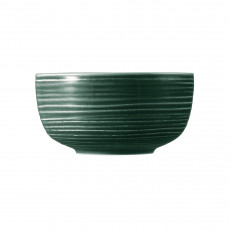 Seltmann Weiden Terra Moosgrün Food bowl 17, 5 cm