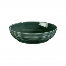 Seltmann Weiden Terra Moosgrün Food bowl 25 cm