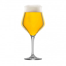 Eisch Craftbeer Experts Craft Beer Glass 435 ml / h: 20.5 cm