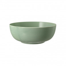 Seltmann Weiden Beat Salbeigrün Food bowl 20 cm