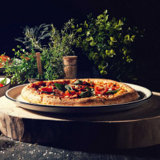 Seltmann Weiden Modern Life Black Line Pizza plate round 29.5