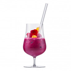 Eisch Gentleman Set of 4 glass straws with cleaning brush - in gift box l: 20 cm / d: 9 mm
