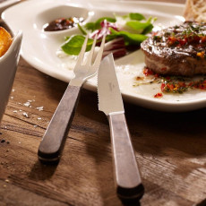 Villeroy & Boch Texas Pizza cutlery / steak cutlery set of 2 pieces