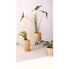 ASA SELECTION - Bamboo cylinder 23 cm