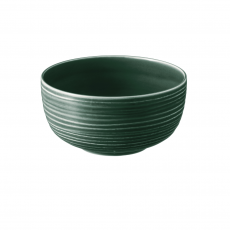 Seltmann Weiden Terra Moosgrün Food bowl 17, 5 cm