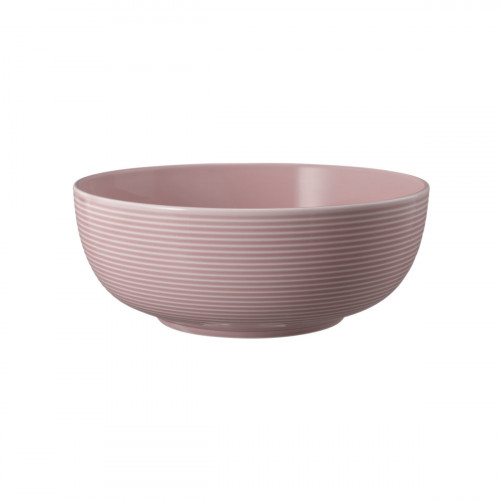 Seltmann Weiden Beat Altrosa Foodbowl Schale 20 cm