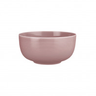 Seltmann Weiden Beat Altrosa Miska na jídlo 17,5 cm