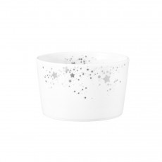 Seltmann Weiden Liberty Silver Stars