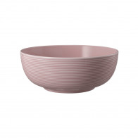 Seltmann Weiden Beat Altrosa Foodbowl Schale 20 cm